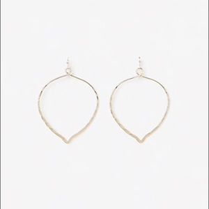 Express Earrings